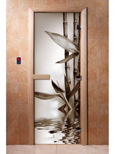 Дверь для сауны стеклянная DoorWood с фотопечатью A057