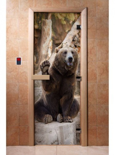 Дверь для сауны стеклянная DoorWood с фотопечатью A061