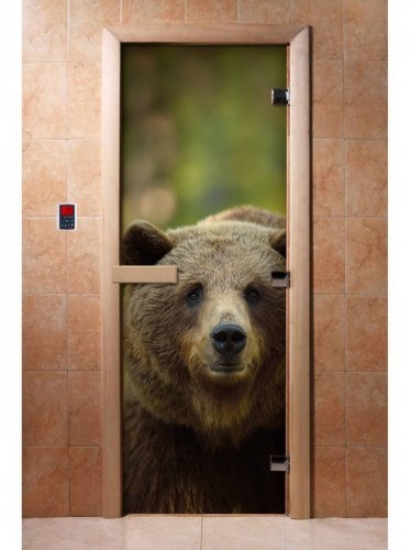 Дверь для сауны стеклянная DoorWood с фотопечатью A065