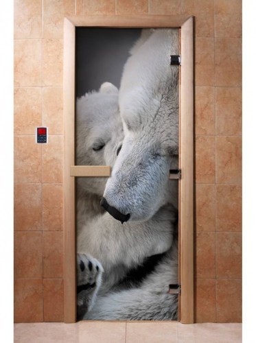 Дверь для сауны стеклянная DoorWood с фотопечатью A066