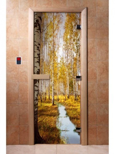 Дверь для сауны стеклянная DoorWood с фотопечатью A082