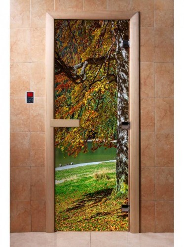 Дверь для сауны стеклянная DoorWood с фотопечатью A089