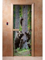 Дверь для сауны стеклянная Doorwood с фотопечатью A064
