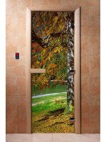 Дверь для сауны стеклянная Doorwood с фотопечатью A089